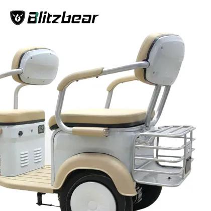 Affordable Electric Tricycles: 48/60v 600w Elderly Friendly Three Wheel Scooters