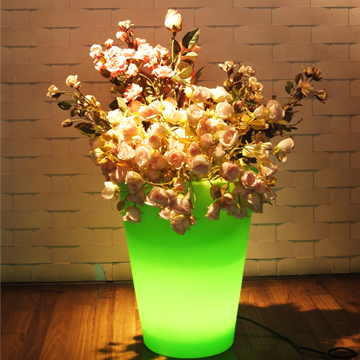 Landscape Lighting
