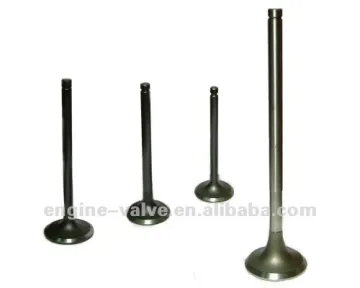 High Quality Engine Valves 6401034 641340