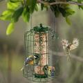 Premium Grade Steel Caged Tube WildBird Feeder