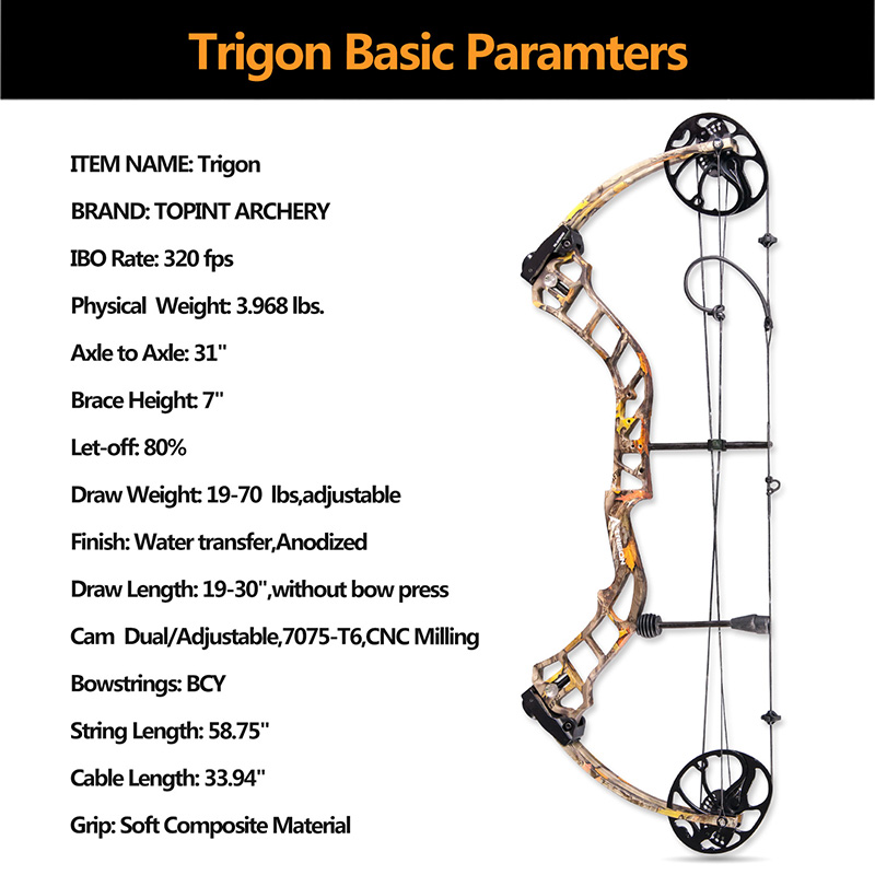 1Set 19-70lbs Archery RIGON Compound Bow Sets Right Hand USA Gordon Composites Limb Hunting Bow For Archery Shooting Accessories