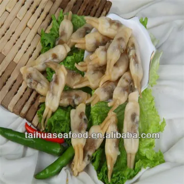 Cooked Razor Clam Meat Seafood
