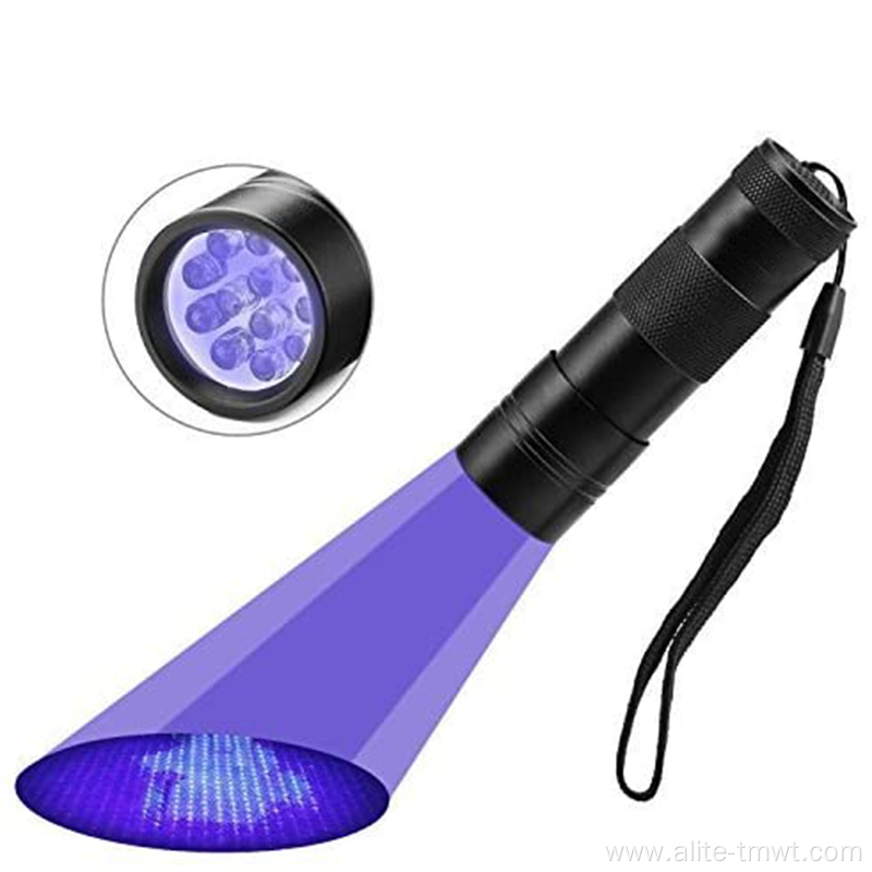 UV flashlight blue light