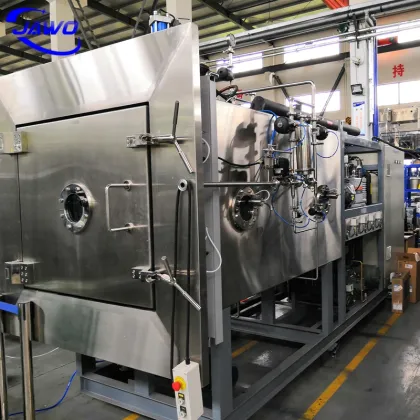 High Efficiency Freeze Dryer Machine Lyophilizer Industrial Freeze Dryer in Philippines