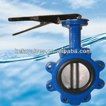 Lug type backed seat pinless butterfly valve