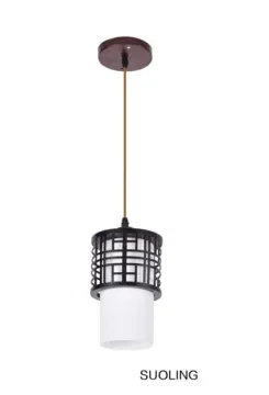 Chinese Style Retro indoor ceiling light
