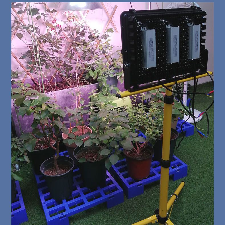 solar panel grow lights