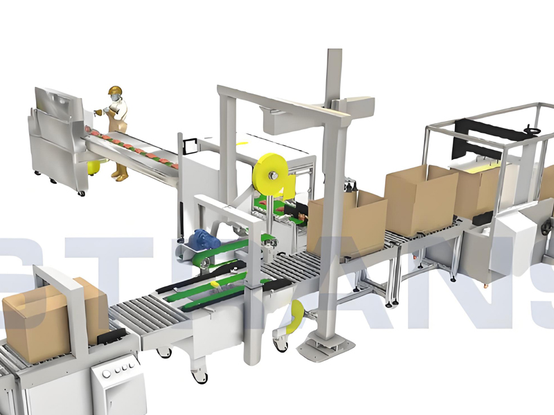 Case Packing and Sealing Line​