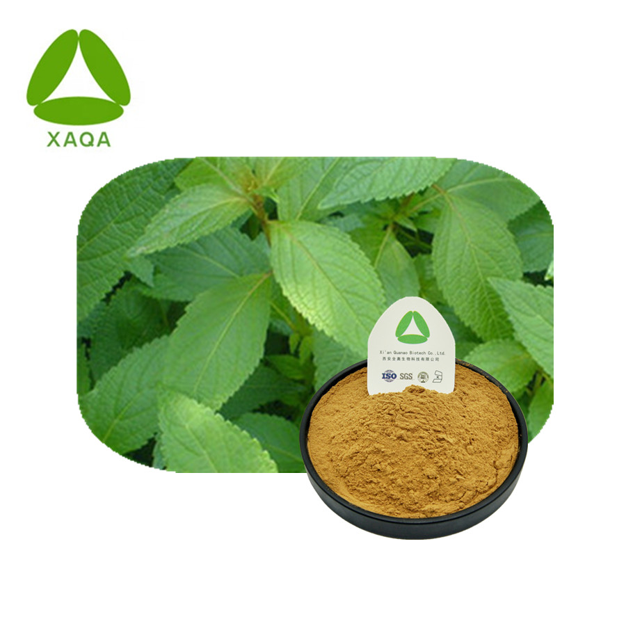 Xihuangcao Extract Powder Clearing Away Heat Toxic Materials