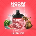 HCOW INUT 3000 Puffs 8ML Disposable Vape