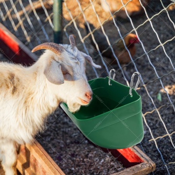 Hameçon en plastique Montant de poulet montable et seau de buveur