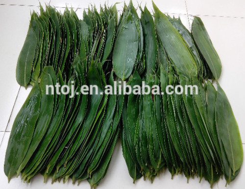 Vacuum Packed bamboo leaves for Sushi