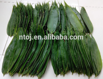 Fresh or vacuum Sushi Bamboo leaves