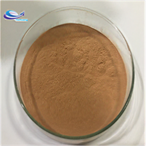 supply pure dandelion extract powder dandelion