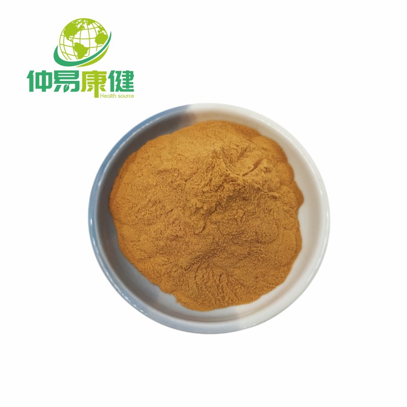 Phellinus Linteus Mushroom Extract