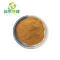 Phellinus linteus extrahieren 30% Polysaccharide