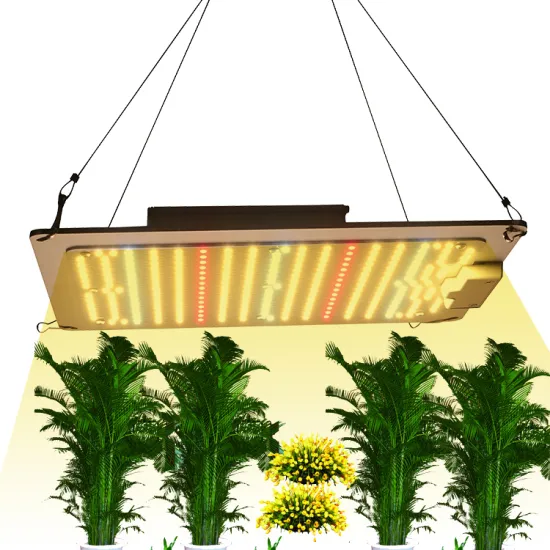 600W High efficiency Grow light Led Boards Led Grow Light Luminous WHITE Body Lamp Power Item COOL SMD Color Flux