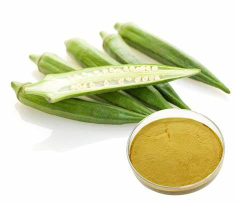 Pure Okra Extract Powder Gumbo Extract