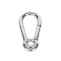 Carabiner spring hook with eyelet