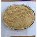/msite/products/detail/productid/63670979/id/1521434.html
