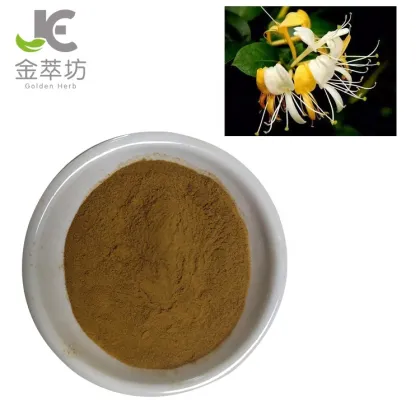 japanese honeysuckle powder/honeysuckle extract powder
