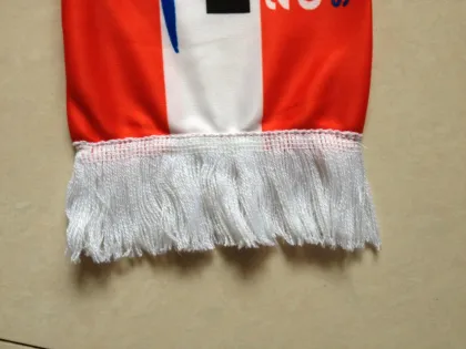 Germany Satin FIFA Promotional Fan Scarf