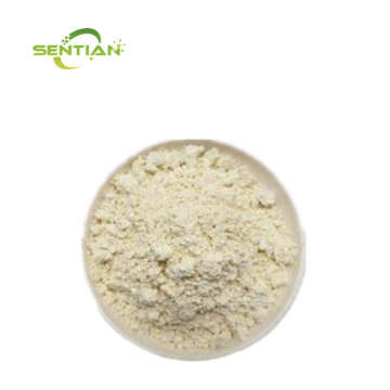 Genistein Extract Sophora Fruit Extract