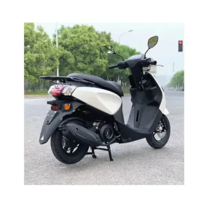 Gasoline Scooter: Other Gas-Powered Moto Bikes and Minimoto