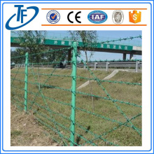 2016 hot sale galvanized barbed wire