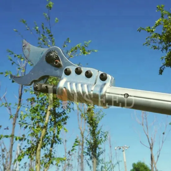 Telescopic Electric Stainless Steel Scissors for High Branch Pruning