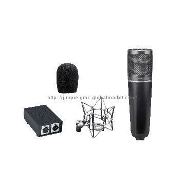 SDM-450 professional condenser microphone