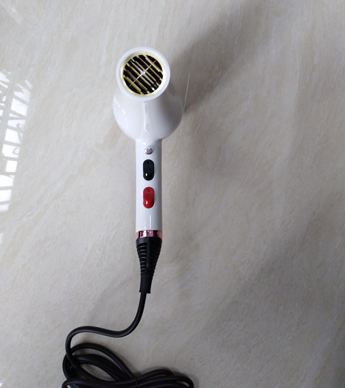 Professional Ionic Electric Hair Dryer