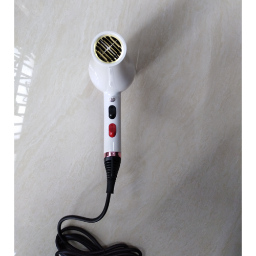 AC Motor Professional Ironic Electric Hair Dryer