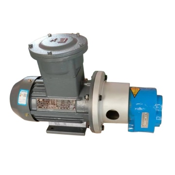 Stainless Steel High-Pressure Hydraulic Gear Pump for Mechanical Lubricant Applications