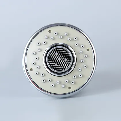 Kitchen sink shower head