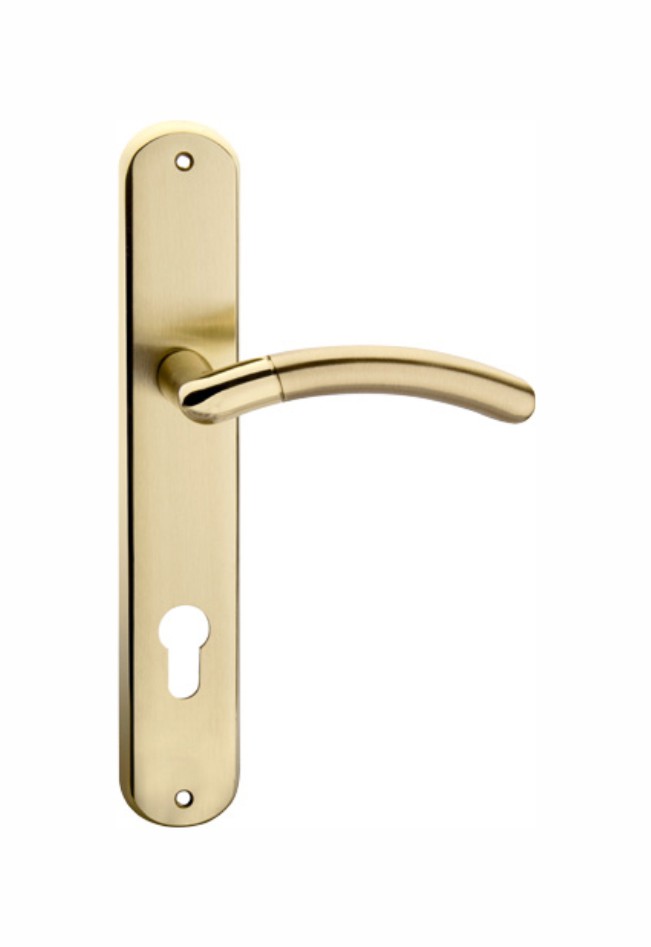 Top sale fuctional zinc door handle on plate