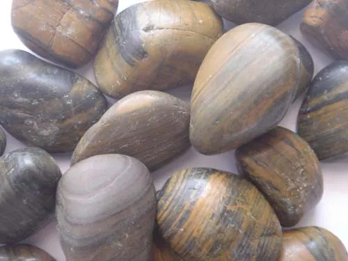 Polished Natural Tiger Eyes River Rocks Stone