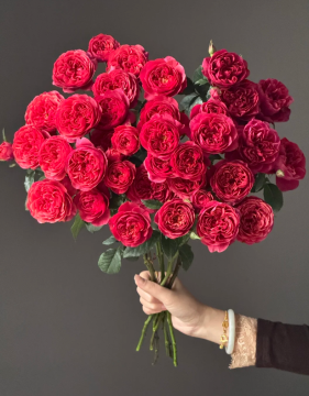 Juicy Terrazza Spray Rose