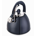 Stainless teel construction kettle black