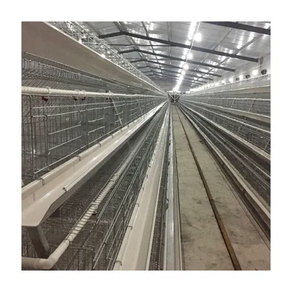 Tbb Brand Automatic Layer Cage Breeding Type A Layer Battery Cage Multi-Functional Chicken Cage