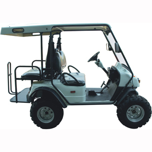 EEC Golf Carts, 2 Seats, 2014 New Design Model, EEC Certificate