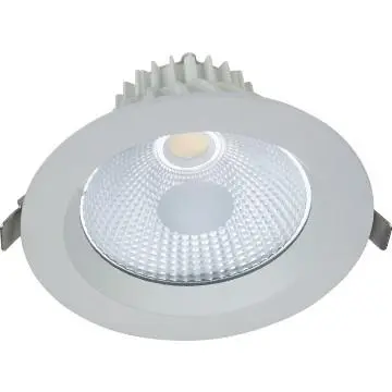 Dimmable COB Economic 20W led downlight 20 watt