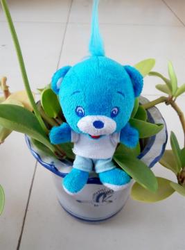 Blue classic head Mao Xiaoxiong key chain
