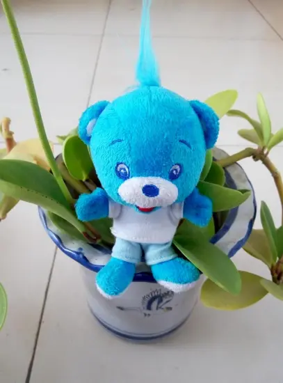 Blue classic head Mao Xiaoxiong key chain