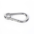 Carabiner spring hook with eyelet