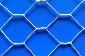 hexagonal wire mesh