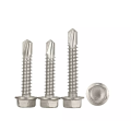 Hex washer head drilling screw paint