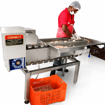 High Quality Poultry Chicken Dressing Plant Gizzards Processing Line