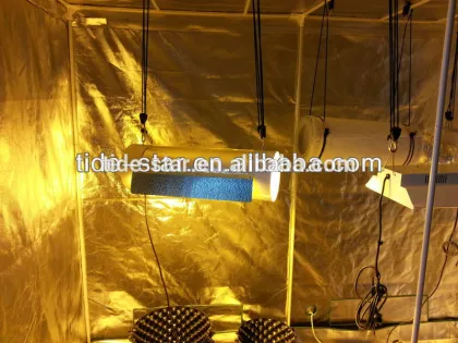 Hydroponics Growing system/Hydroponics greenhouse system