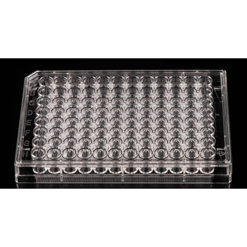 TCTreated 96 well Flat bottom Cell Culture Plates China Manufacturer